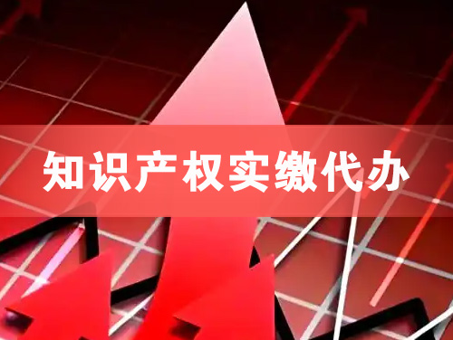 五河知识产权实缴资本代办